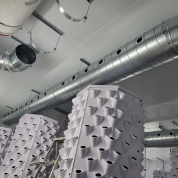 thumbnail_image0000011